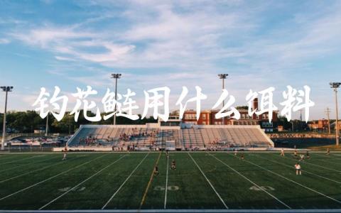 钓花鲢用什么饵料插图 钓花鲢用什么饵料插图