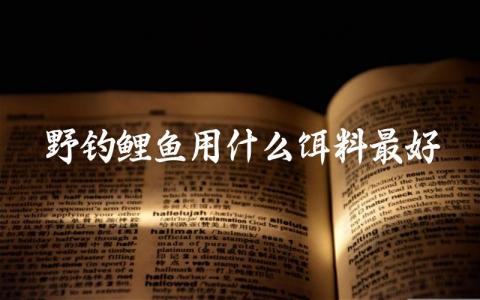 野钓鲤鱼用什么饵料最好插图 野钓鲤鱼用什么饵料最好插图