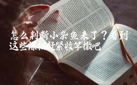 怎么判断小杂鱼来了?看到这些漂相赶紧收竿撤吧插图 怎么判断小杂鱼来了?看到这些漂相赶紧收竿撤吧插图