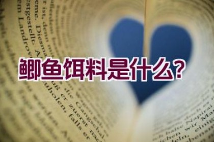 鲫鱼饵料是什么？