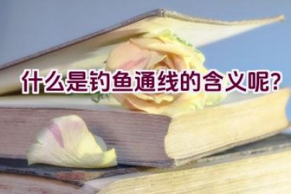 “什么是’钓鱼通线’的含义呢？”