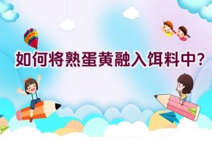 如何将熟蛋黄融入饵料中？