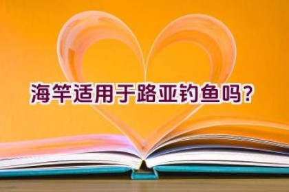 海竿适用于路亚钓鱼吗？