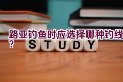 路亚钓鱼时应选择哪种钓线？