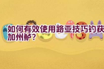 如何有效使用路亚技巧钓获加州鲈？