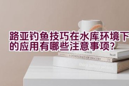 路亚钓鱼技巧在水库环境下的应用有哪些注意事项？