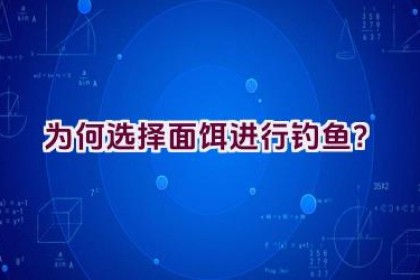 为何选择面饵进行钓鱼？