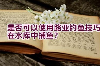 是否可以使用路亚钓鱼技巧在水库中捕鱼？