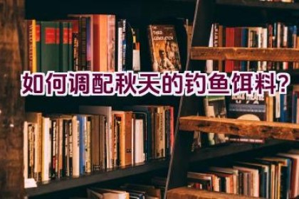 如何调配秋天的钓鱼饵料？
