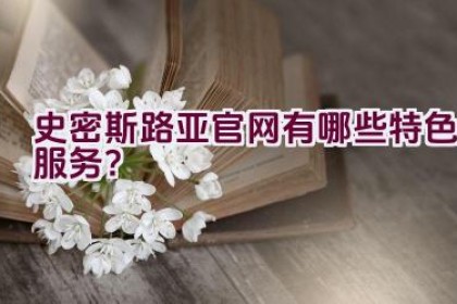 史密斯路亚官网有哪些特色服务？