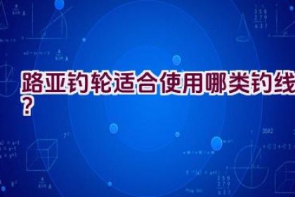 路亚钓轮适合使用哪类钓线？