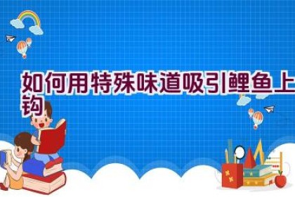 如何用特殊味道吸引鲤鱼上钩