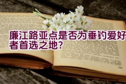 廉江路亚点是否为垂钓爱好者首选之地？