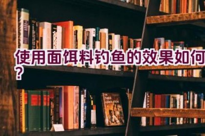 使用面饵料钓鱼的效果如何？