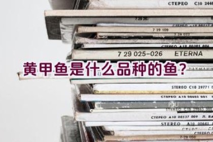 黄甲鱼是什么品种的鱼？