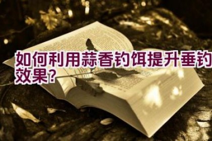 如何利用蒜香钓饵提升垂钓效果？