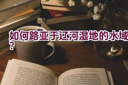 如何路亚于辽河湿地的水域？