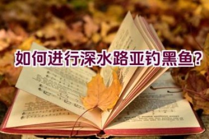 如何进行深水路亚钓黑鱼？