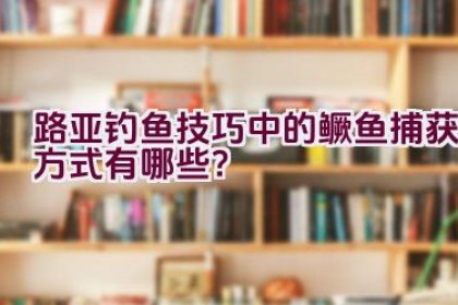 路亚钓鱼技巧中的鳜鱼捕获方式有哪些？