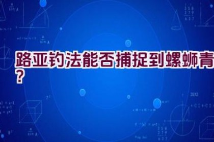 路亚钓法能否捕捉到螺蛳青？
