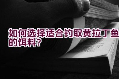 如何选择适合钓取黄拉丁鱼的饵料？