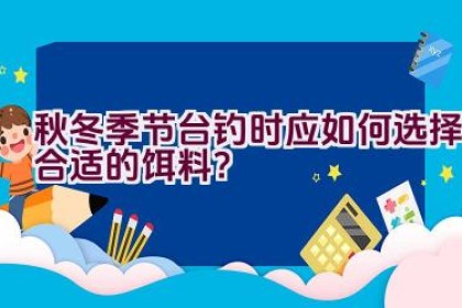 秋冬季节台钓时应如何选择合适的饵料？