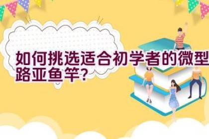 如何挑选适合初学者的微型路亚鱼竿？
