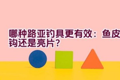哪种路亚钓具更有效：鱼皮钩还是亮片？