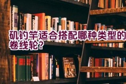 矶钓竿适合搭配哪种类型的卷线轮？