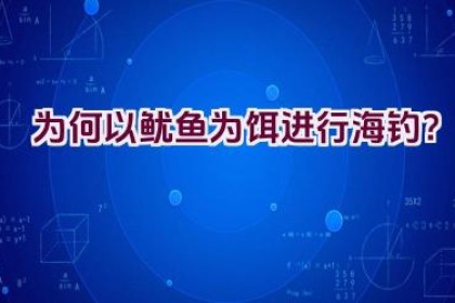 为何以鱿鱼为饵进行海钓？