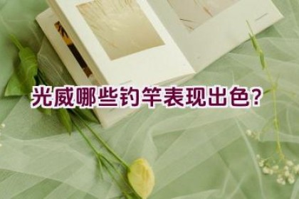 光威哪些钓竿表现出色？