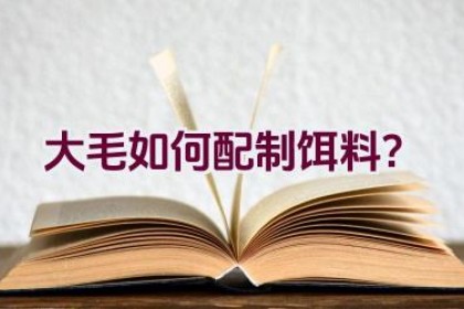 大毛如何配制饵料？