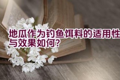 地瓜作为钓鱼饵料的适用性与效果如何？