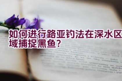 如何进行路亚钓法在深水区域捕捉黑鱼？