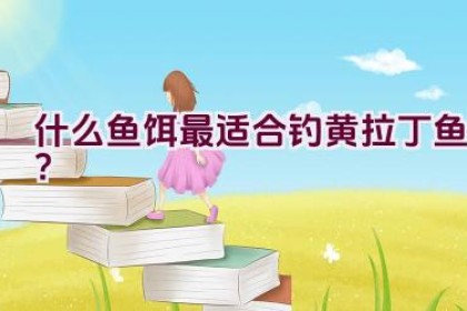 什么鱼饵最适合钓黄拉丁鱼？
