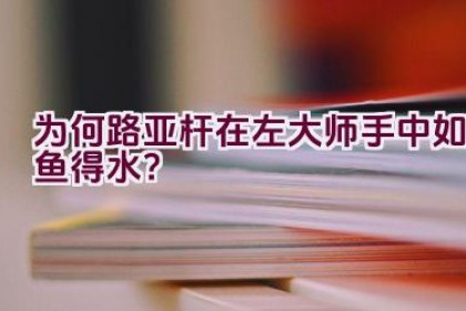 为何路亚杆在左大师手中如鱼得水？