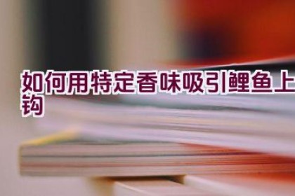 如何用特定香味吸引鲤鱼上钩
