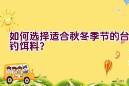 如何选择适合秋冬季节的台钓饵料？