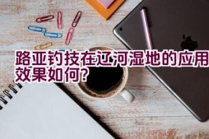 路亚钓技在辽河湿地的应用效果如何？