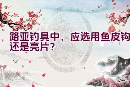路亚钓具中，应选用鱼皮钩还是亮片？