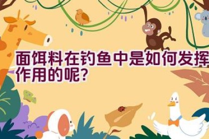 面饵料在钓鱼中是如何发挥作用的呢？