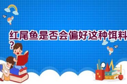 红尾鱼是否会偏好这种饵料？