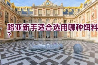 路亚新手适合选用哪种饵料？