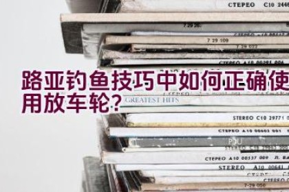 路亚钓鱼技巧中如何正确使用放车轮？