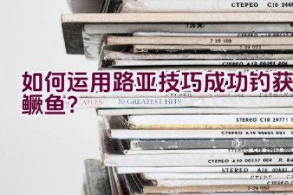 如何运用路亚技巧成功钓获鳜鱼？