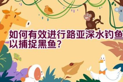 如何有效进行路亚深水钓鱼以捕捉黑鱼？