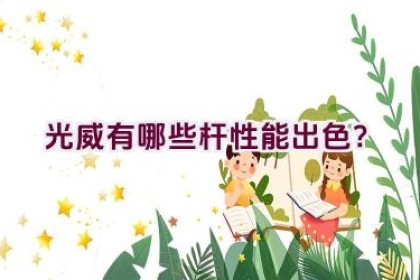 光威有哪些杆性能出色？
