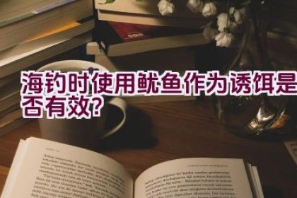 海钓时使用鱿鱼作为诱饵是否有效？