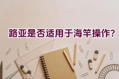 路亚是否适用于海竿操作？