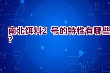 南北饵料2号的特性有哪些？